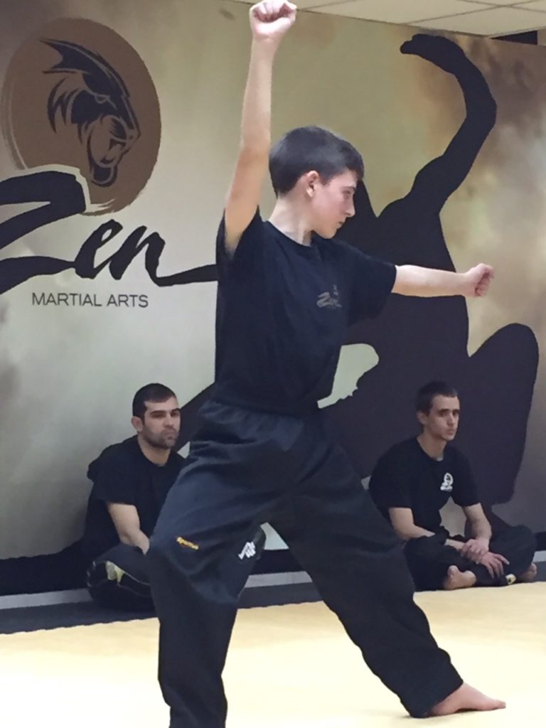 Media Zen Martial Arts